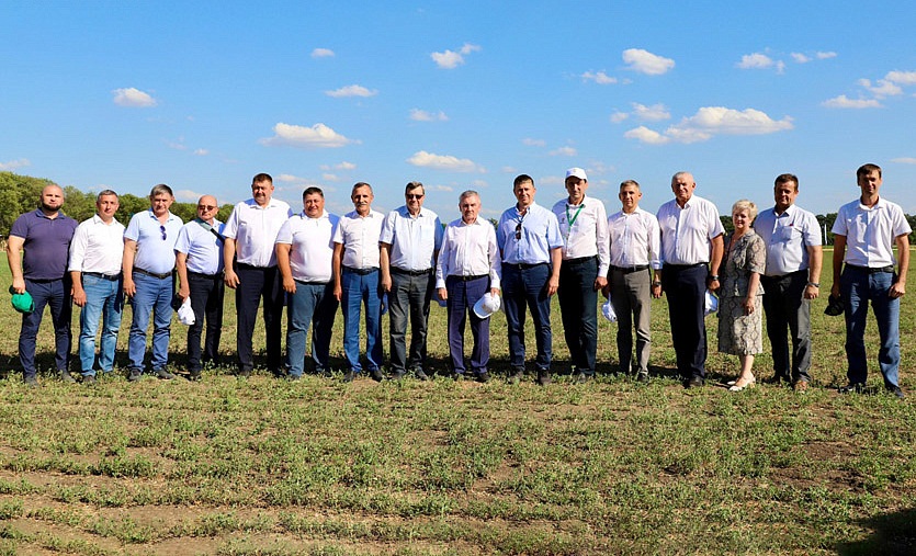 День поля ВНИИМК-2024