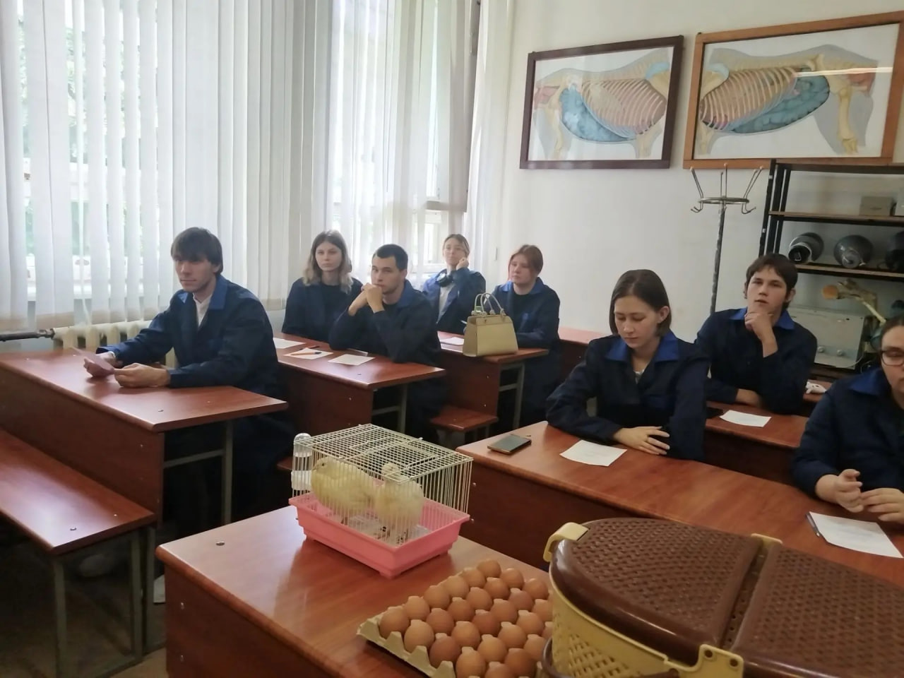 Студенты КубГАУ освоили рабочую профессию животновода