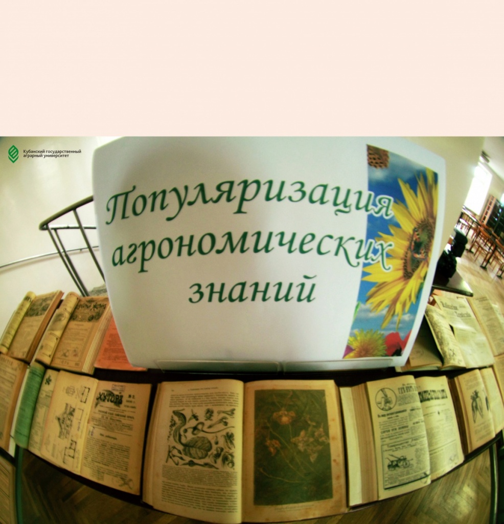 Все на выставку!