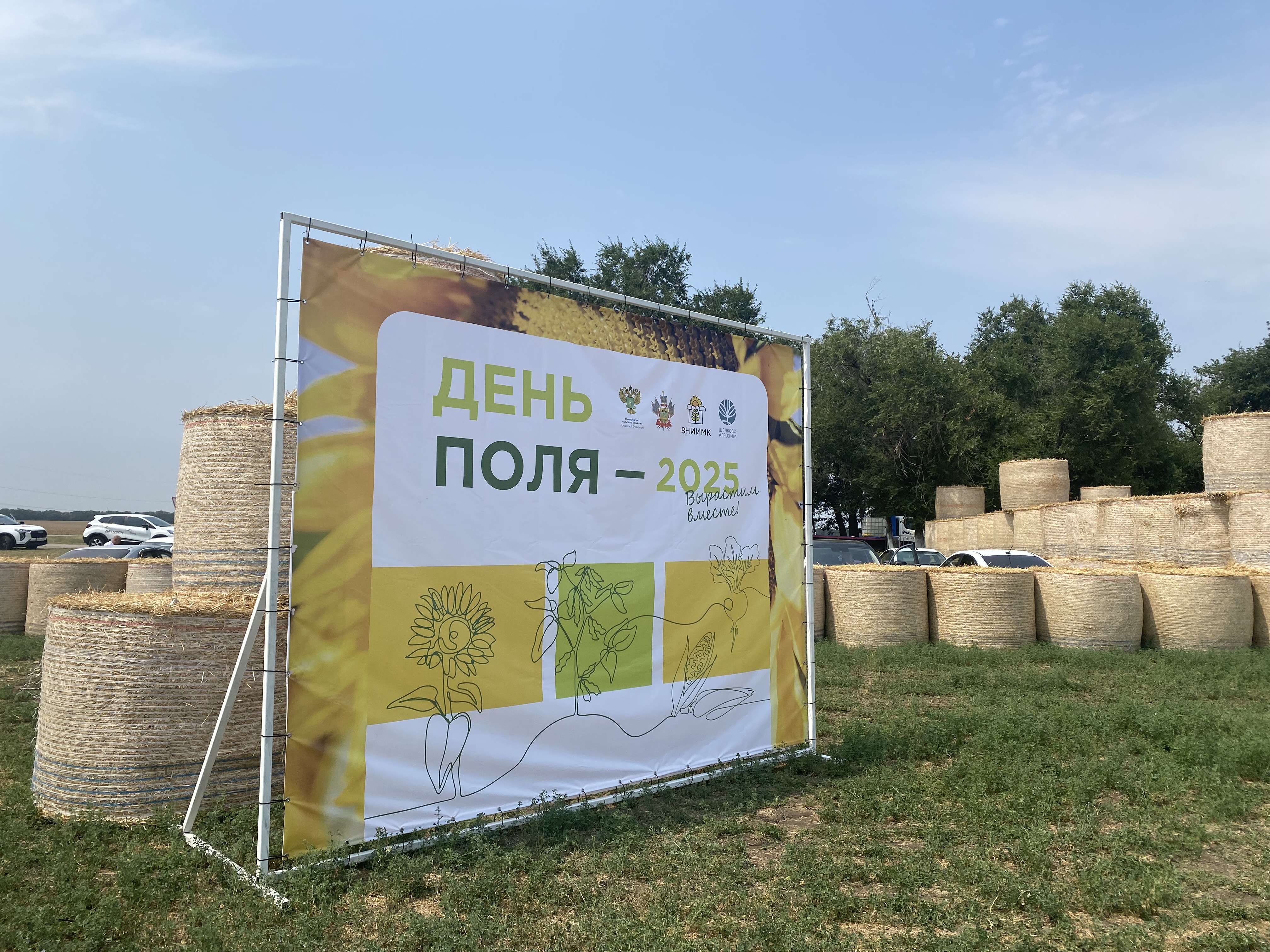 Встреча ЮНАТ на полях ВНИИМК