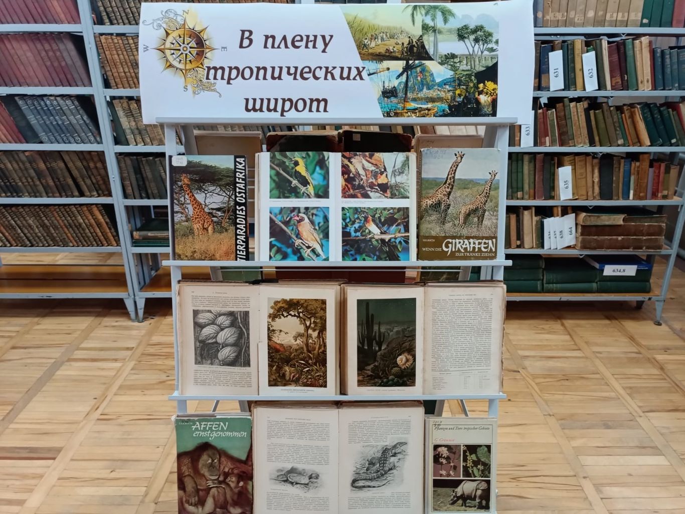В плену тропических широт