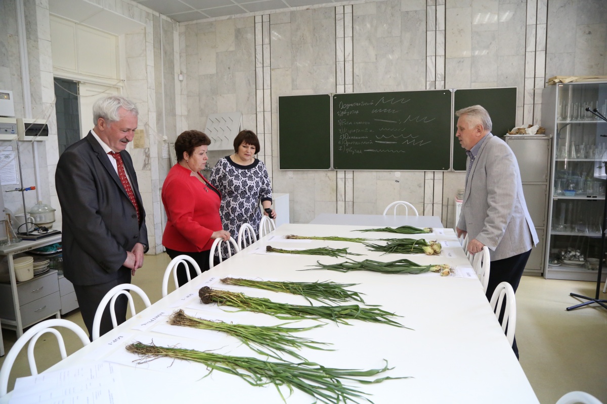 Международную экономическую научную школу в КубГАУ посетили эксперты из столицы