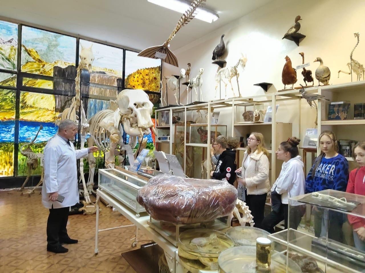Школьники в гостях у ветеринарного факультета