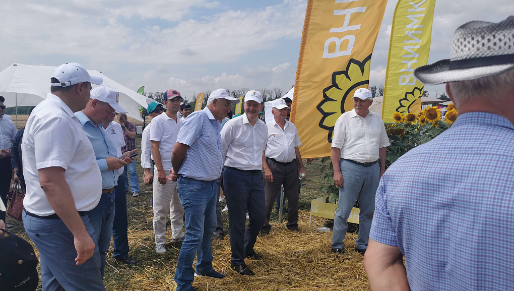 В поселке Новоберезанский Кореновского района прошёл «День поля гибридов и сортов подсолнечника, сортов сои»