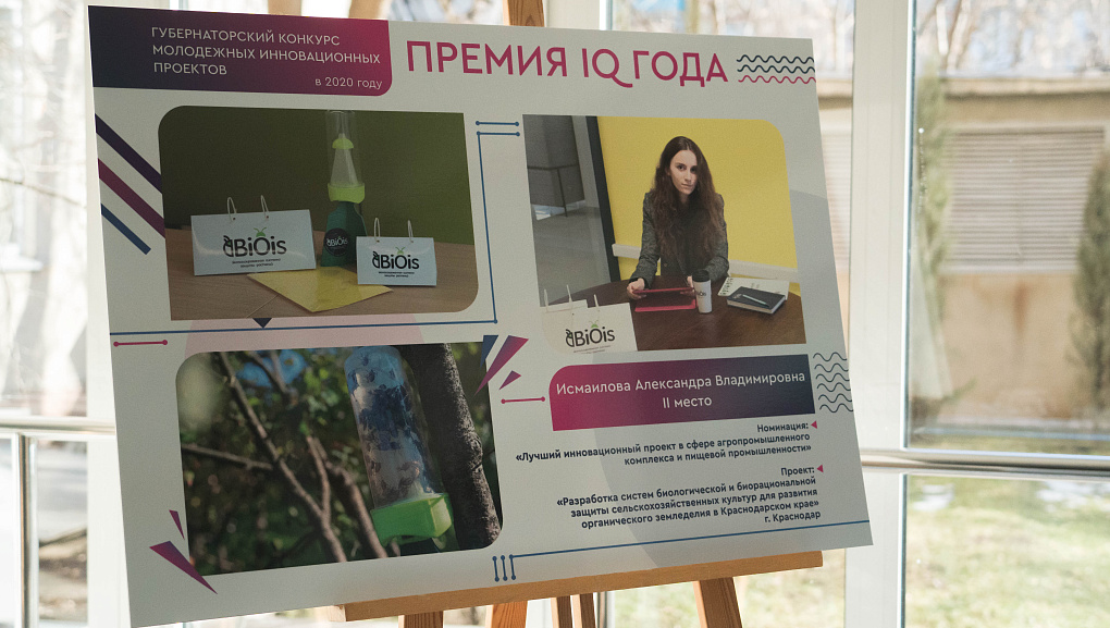 Итоги губернаторского конкурса «Премия IQ года»