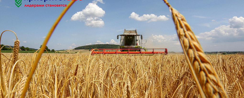 Программа повышения квалификации