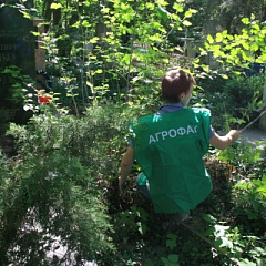 Накануне Дня Победы