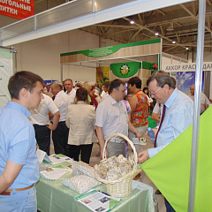 Кубанская ярмарка-2015