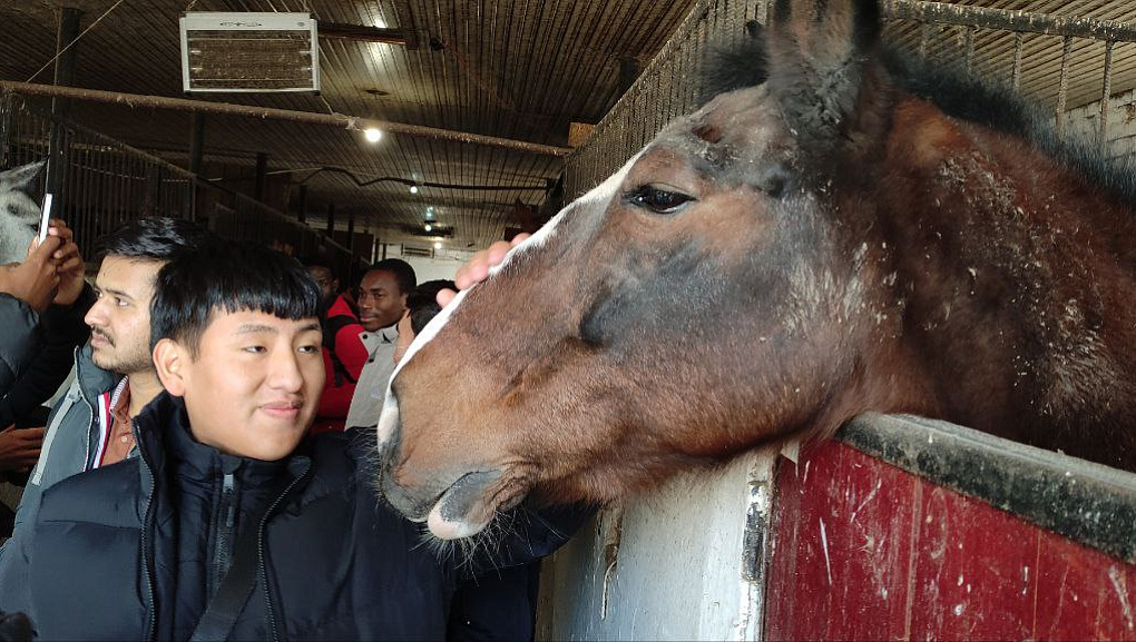 Путешествие иностранцев в конноспортивный клуб