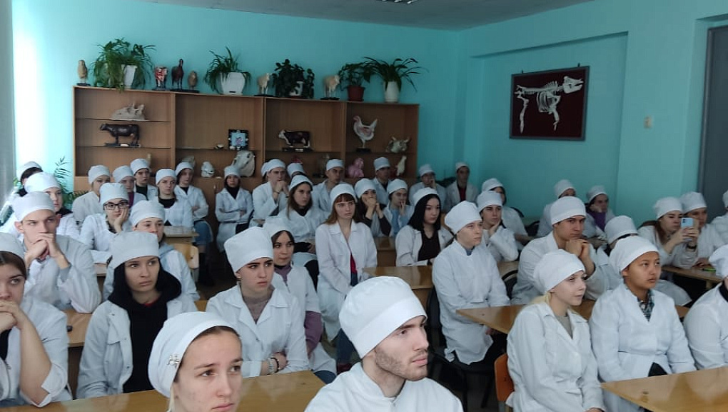 Из техникума в университет
