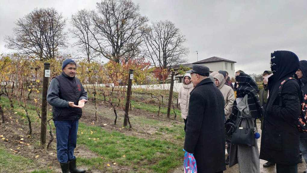 На виноградниках в предгорье Кавказа