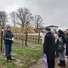 На виноградниках в предгорье Кавказа