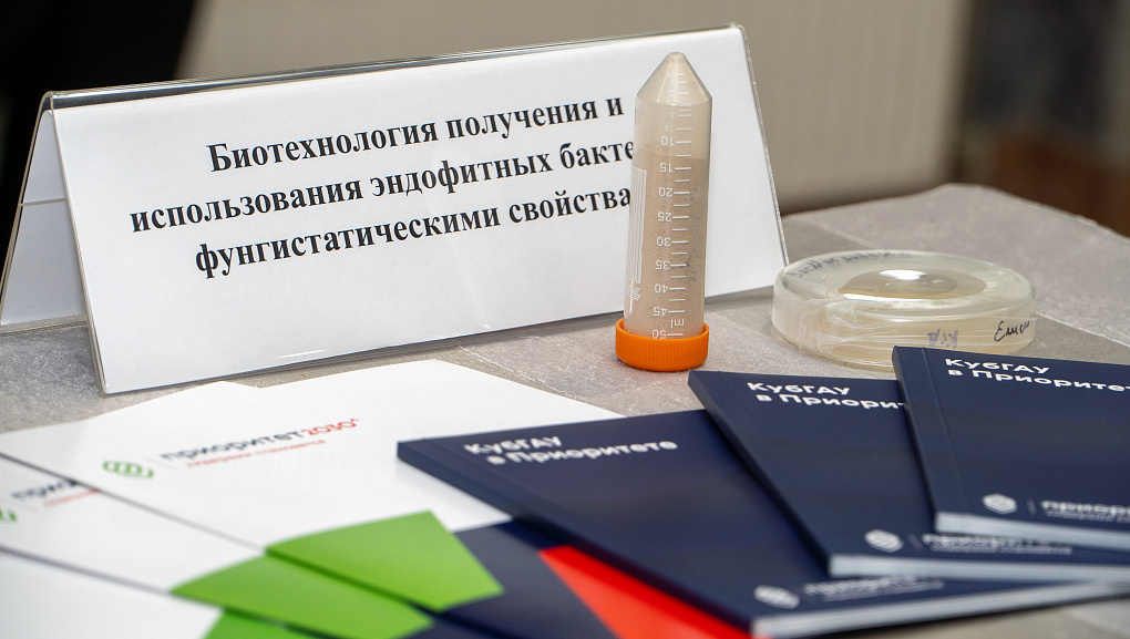 Стартап со смыслом
