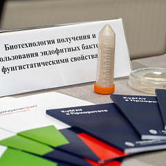 Стартап со смыслом