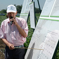 «День поля — 2013»