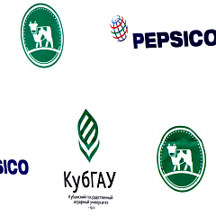 PepsiCo Summer School Starts