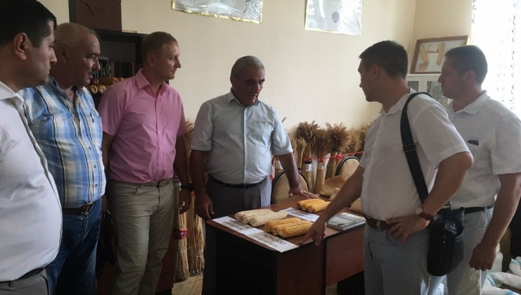 Сотрудничество вузов