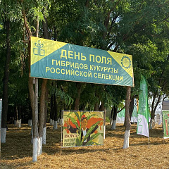  Научно-полевой семинар «День поля»