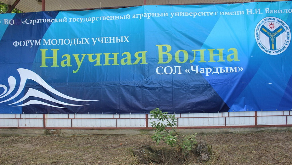 Научная волна – 2017