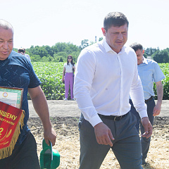 Мэр Краснодара Андрей Алексеенко посетил учхоз «Кубань» во время жатвы