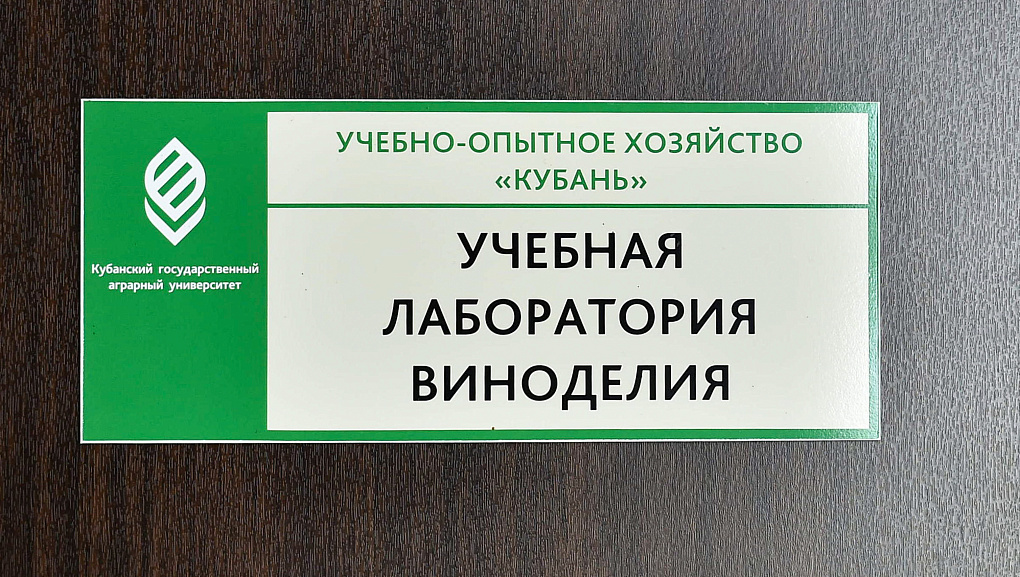 Новая площадка для обучения