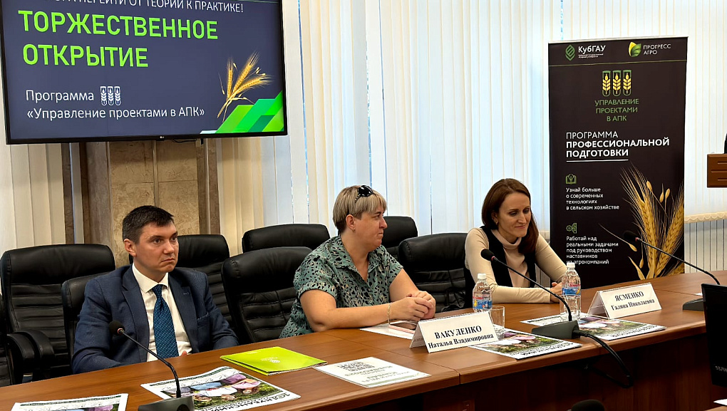 Сотрудничество на практике