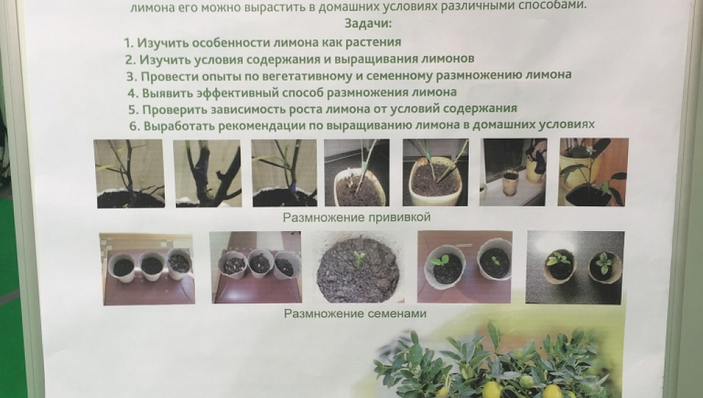 Мастер-классы на форуме