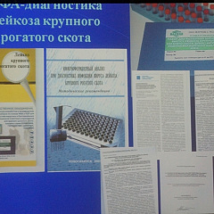 Семинар по инфекционным и инвазионным болезням животных