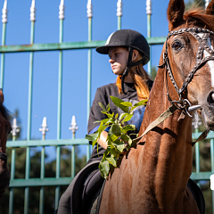 Животные выходят в город и идут в КУБГАУ!