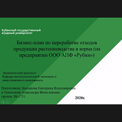 Проблемы и перспективы принятия стратегических  инвестиционных решений в экономике России