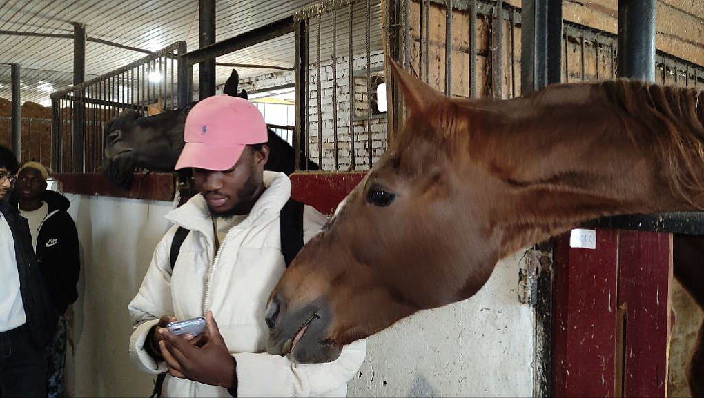 Путешествие иностранцев в конноспортивный клуб