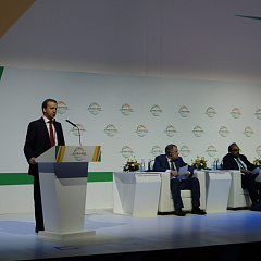 О развитии мирового рынка зерна
