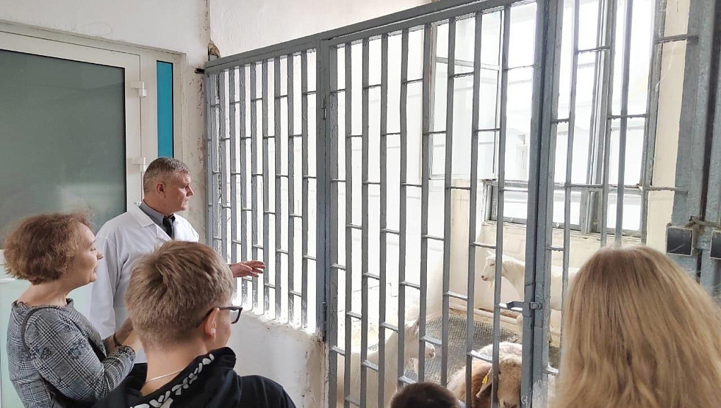 Школьники в гостях у ветеринарного факультета