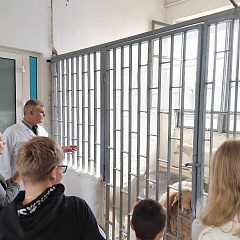 Школьники в гостях у ветеринарного факультета