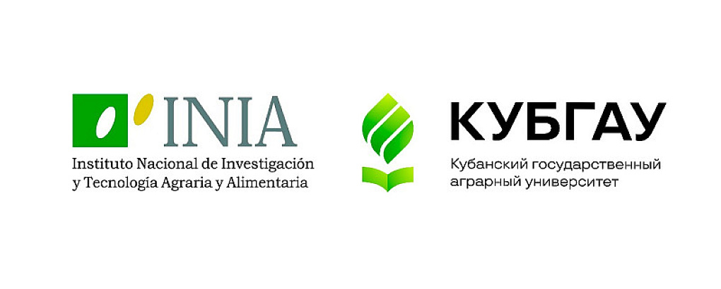 Наука без границ