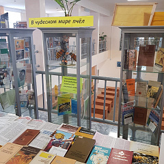 Книжная выставка "В чудесном мире пчёл"