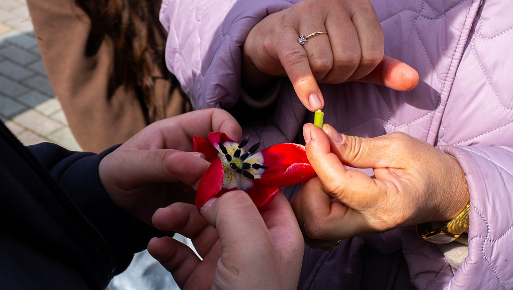 Пять дней погружения в науку