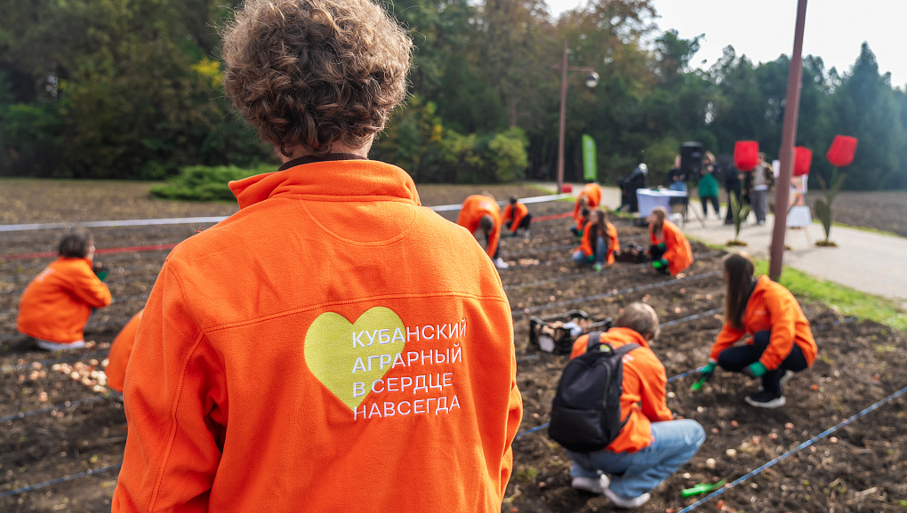 160 000 тюльпанов высадили в Ботсаду КУБГАУ