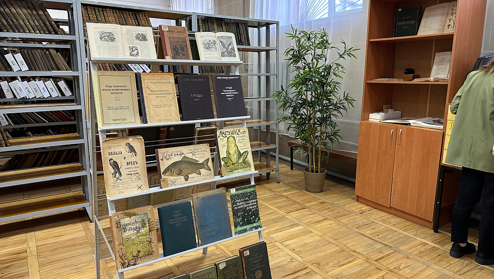 В редком фонде книг