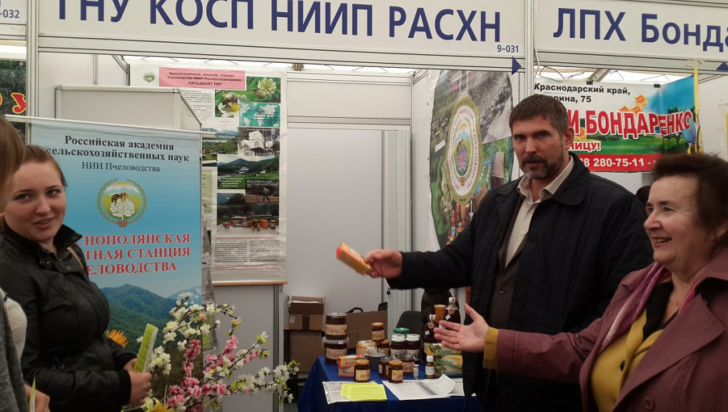 «Кубанская ярмарка — 2013»