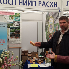 «Кубанская ярмарка — 2013»
