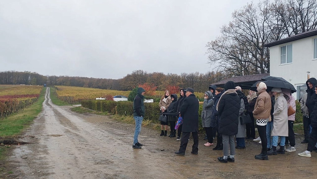 На виноградниках в предгорье Кавказа