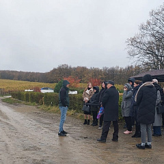 На виноградниках в предгорье Кавказа