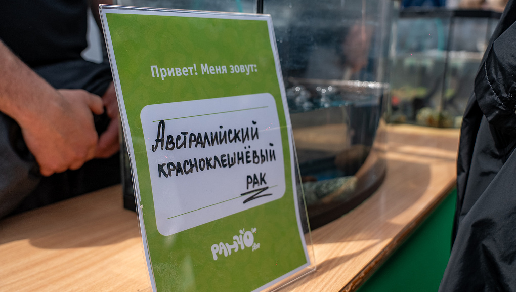 В Кубанском ГАУ открылось ранчо