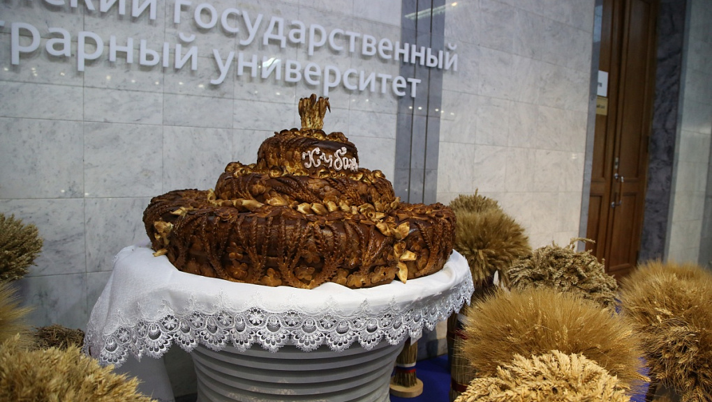 Началась работа выставки