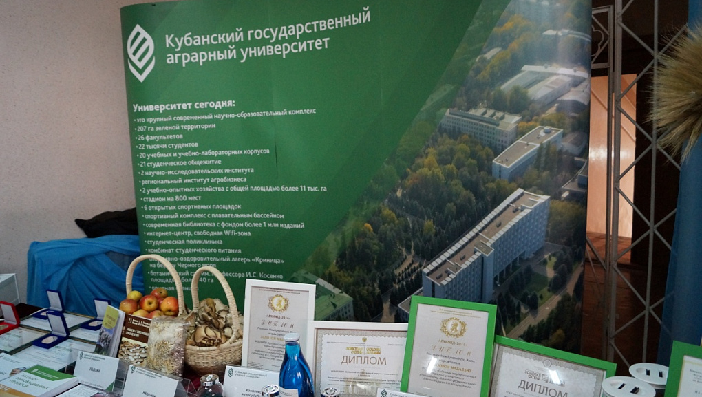 Развитие муниципальных образований