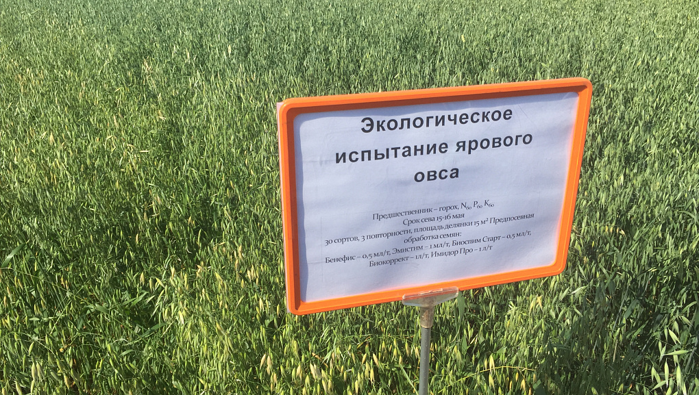Координационный совет по селекции и семеноводству