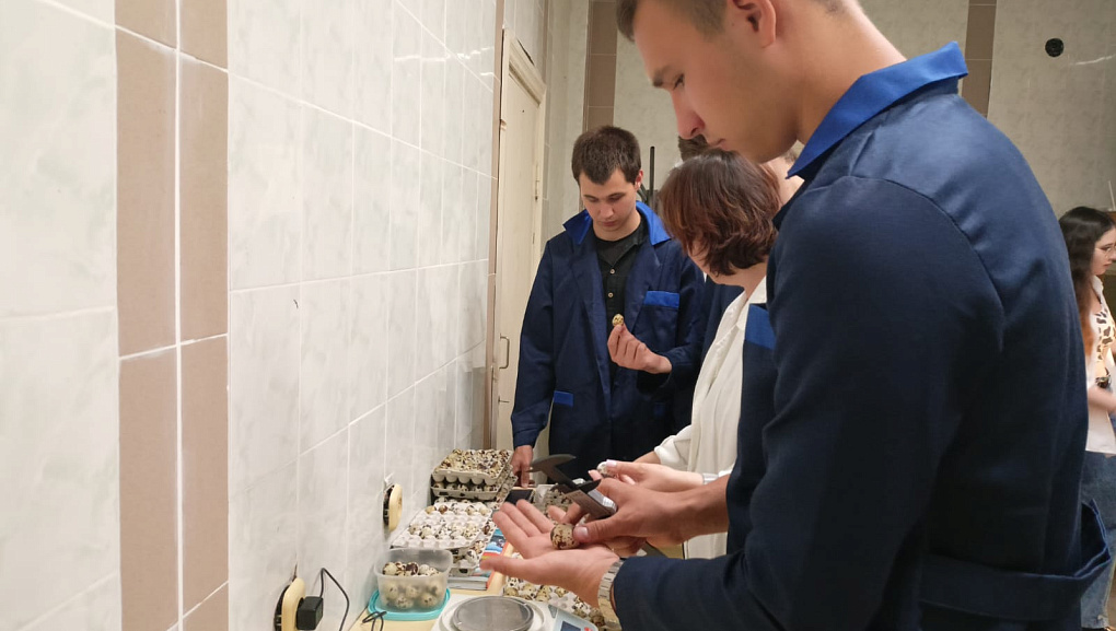 Будущие профессионалы в области птицеводства