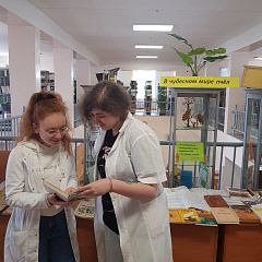Книжная выставка "В чудесном мире пчёл"