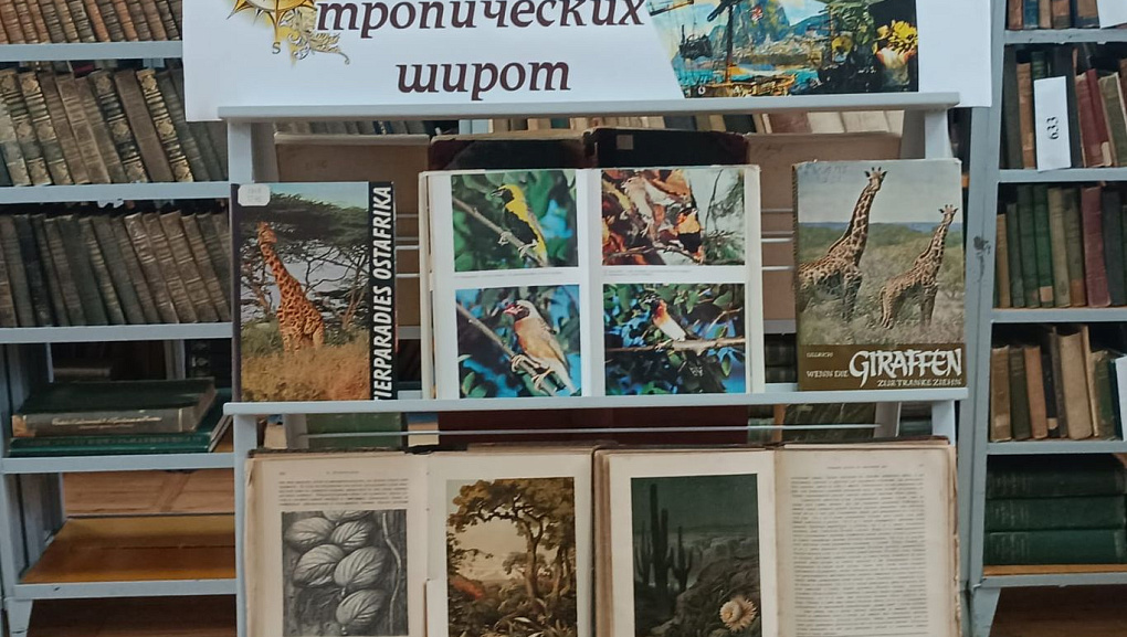 В плену тропических широт